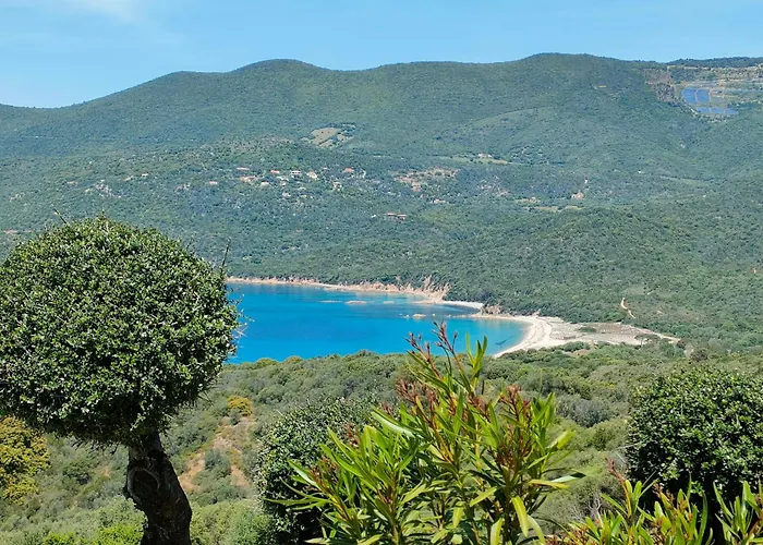 Mini Vue Jardin Dans Calme Wifi Piscine A Pied Serra-di-Ferro (Corsica)