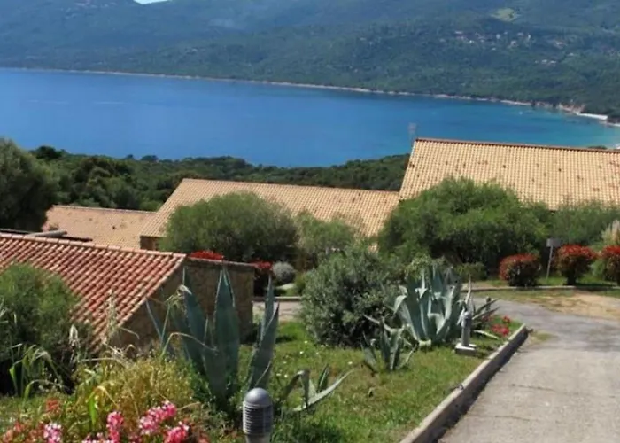 Mini Vue Jardin Dans Calme Wifi Piscine A Pied Serra-di-Ferro (Corsica)
